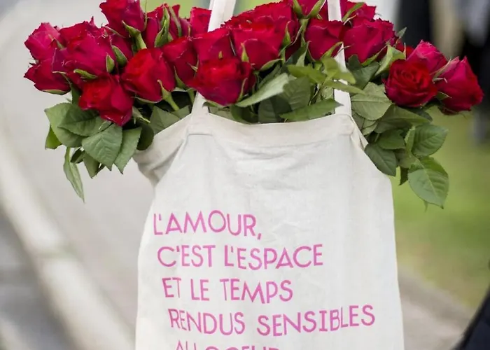 200m De La Piscine Wifi T2 41m2 4 Pers 1 Refait à Neuf Hypercentre Apartamento