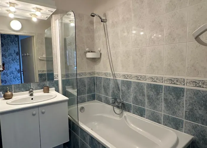 Apartamento 200m De La Piscine Wifi T2 41m2 4 Pers 1 Refait à Neuf Hypercentre