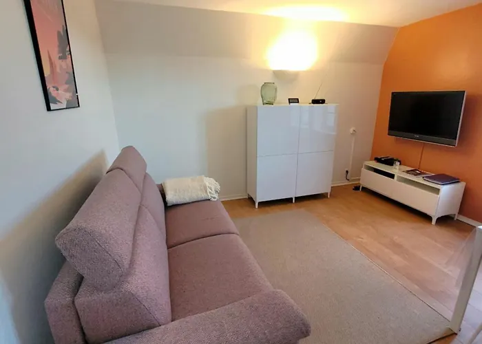 Apartamento 200m De La Piscine Wifi T2 41m2 4 Pers 1 Refait à Neuf Hypercentre *