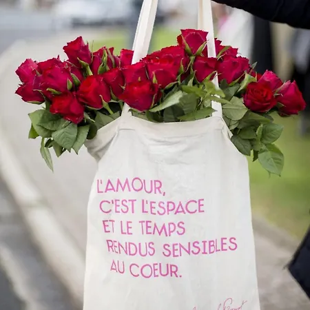 200m De La Piscine Wifi T2 41m2 4 Pers 1 Refait A Neuf Hypercentre Apartament