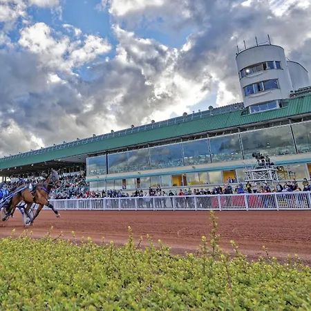 Apartamento 200m De La Piscine Wifi T2 41m2 4 Pers 1 Refait A Neuf Hypercentre