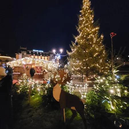 200m De La Piscine Wifi T2 41m2 4 Pers 1 Refait A Neuf Hypercentre *