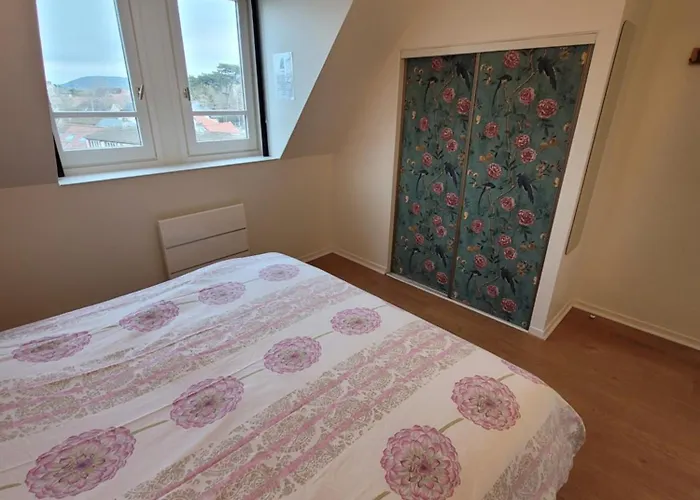 200m De La Piscine Wifi T2 41m2 4 Pers 1 Refait A Neuf Hypercentre