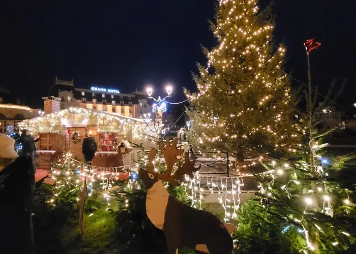 200m De La Piscine Wifi T2 41m2 4 Pers 1 Refait A Neuf Hypercentre *